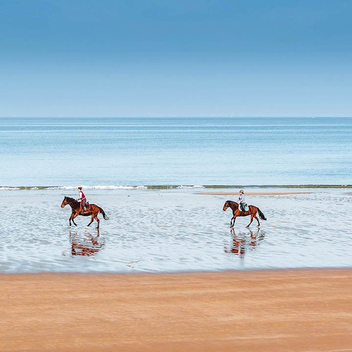 Équitation, cheval, plage.